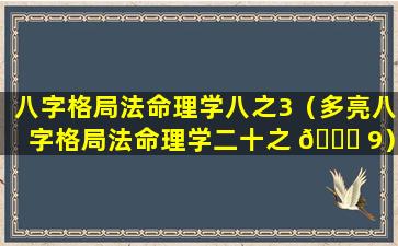 八字格局法命理学八之3（多亮八字格局法命理学二十之 🐛 9）